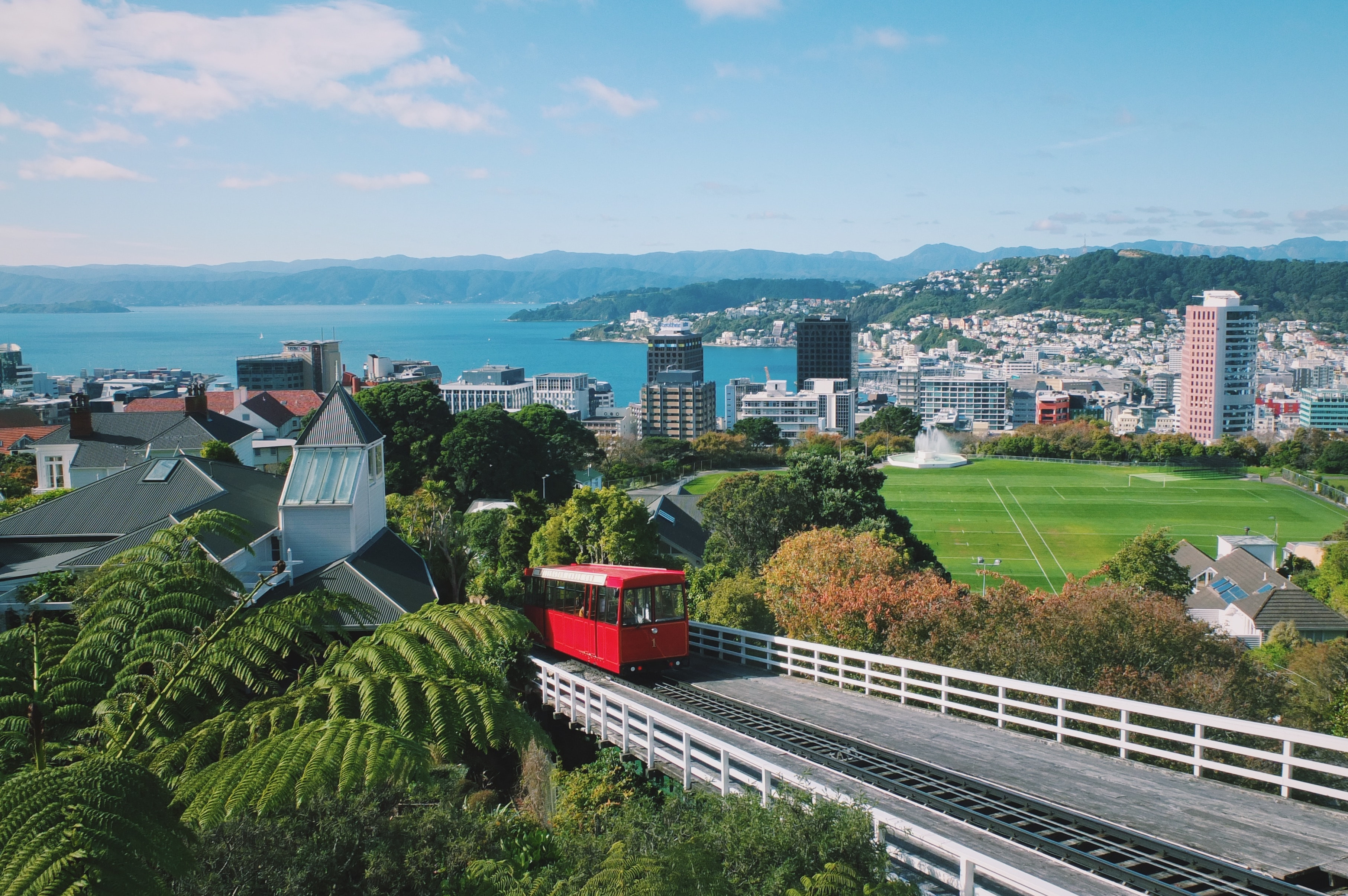 Wellington: Culturele Hoofdstad van Nieuw-Zeeland - Natuurlijk NZ